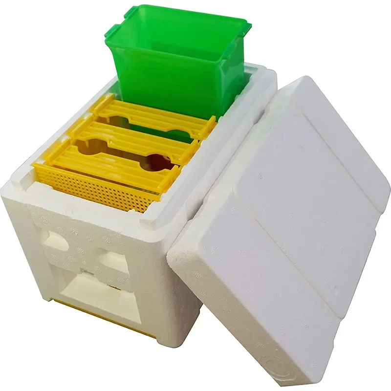 X18 New Model Mini Nucs Complete Mini Mating Beehive with Plastic Frames Removable Feeder Beekeeping Pollination Box