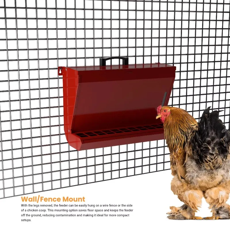 Customizable Efficient Poultry Feeding Solution with 12kg Capacity and Metal Build