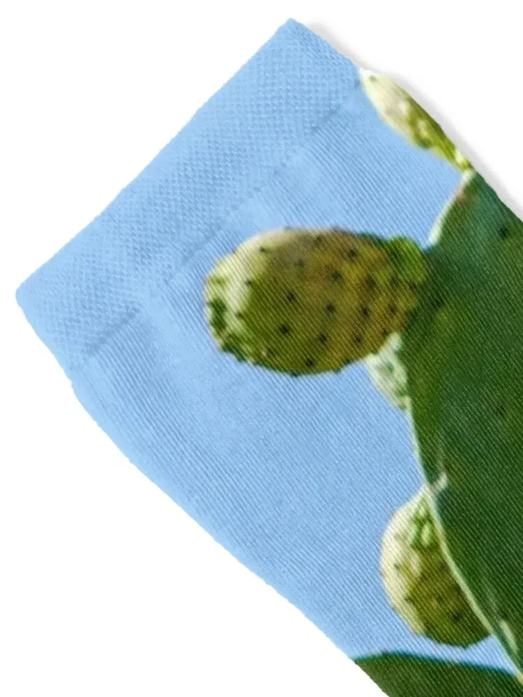 Orange fruits of Opuntia ficus-indica (prickly pear) Socks Stockings custom sports sport Climbing Women Socks Men's