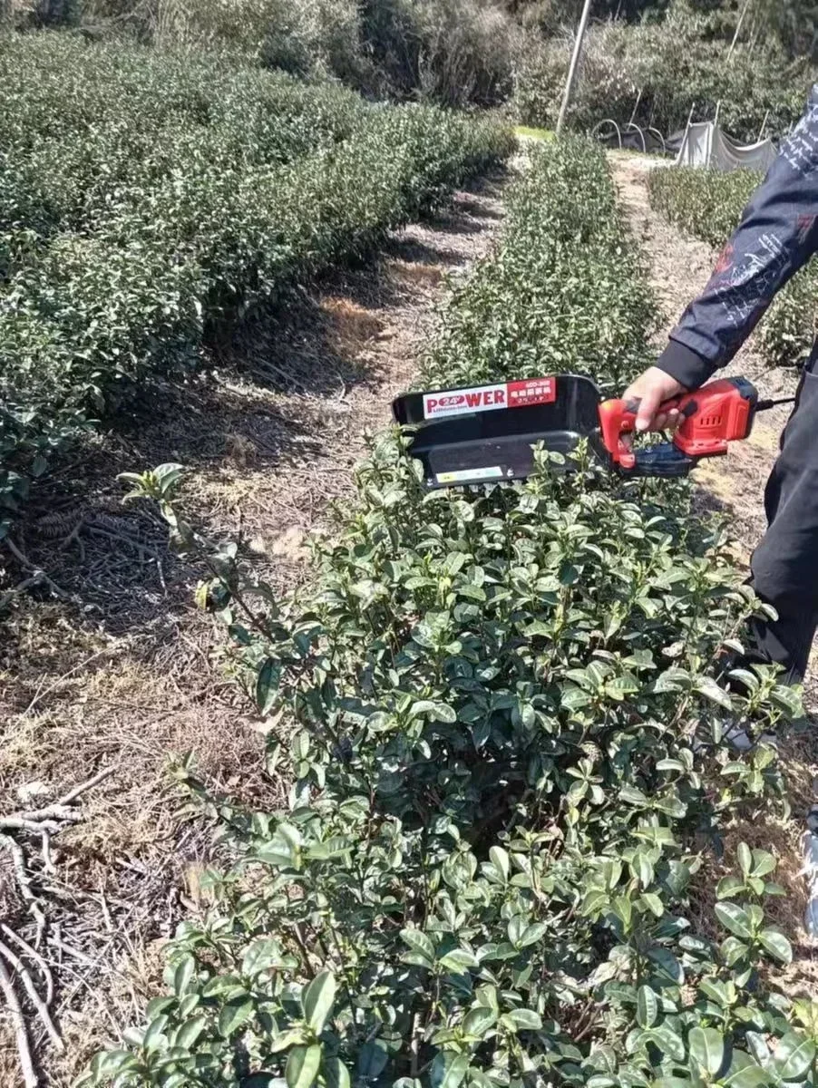 One man operation type tea leaves plucking machine for tea harvesting hand-held