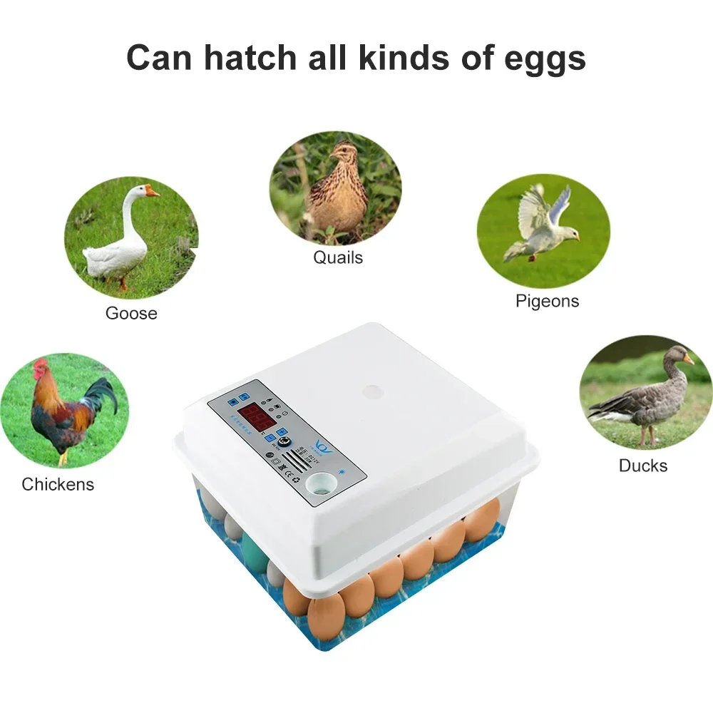 20 Eggs Incubator Brooder Bird Quail Chick Hatchery Incubator Poultry Hatcher Turner Automatic Temperature Control 220V