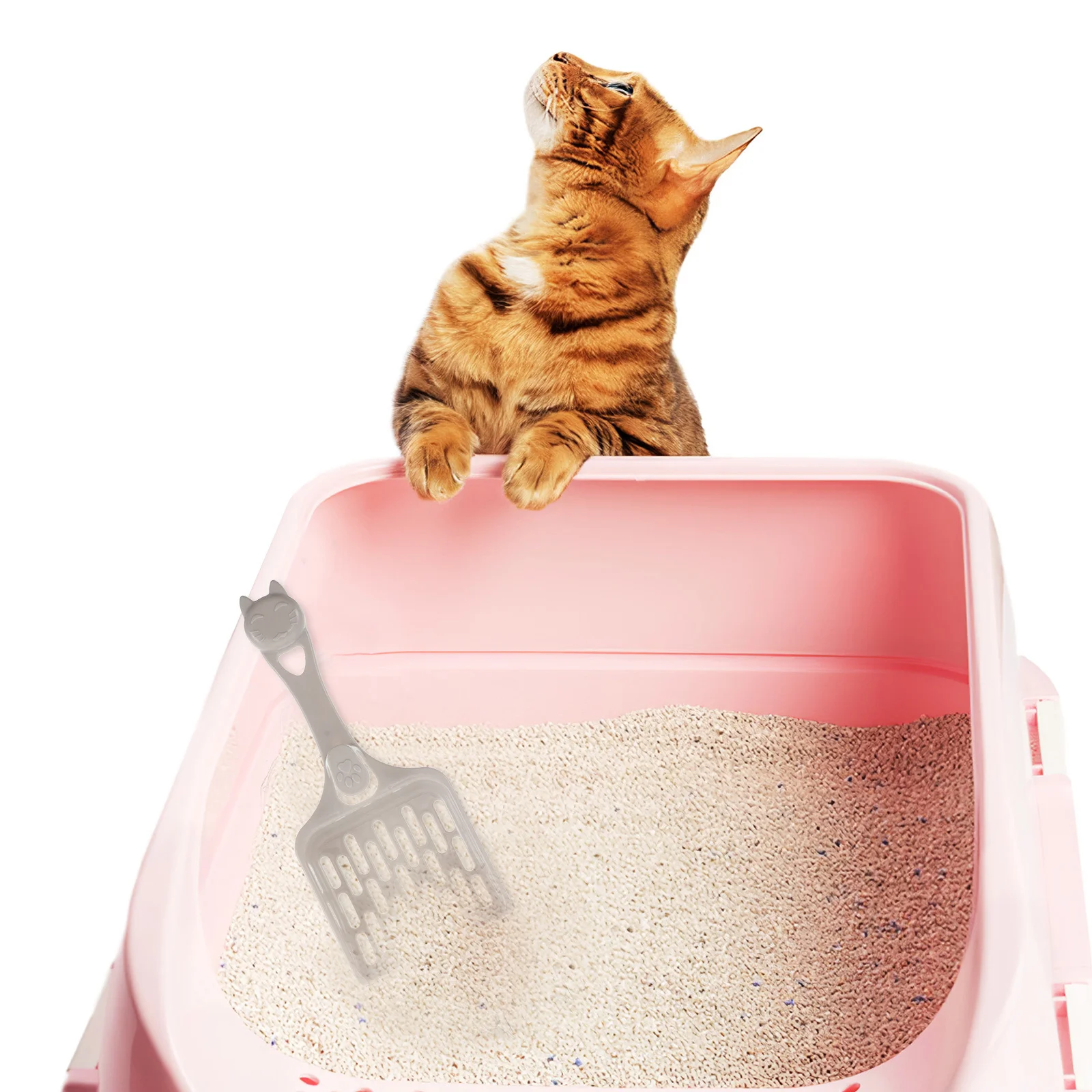 

7Pcs Cat Litter Scoop with Fine Sifting Teeth Long Handle Design Lightweight Plastic Litter Sifter for Cats Easy Clean Daily