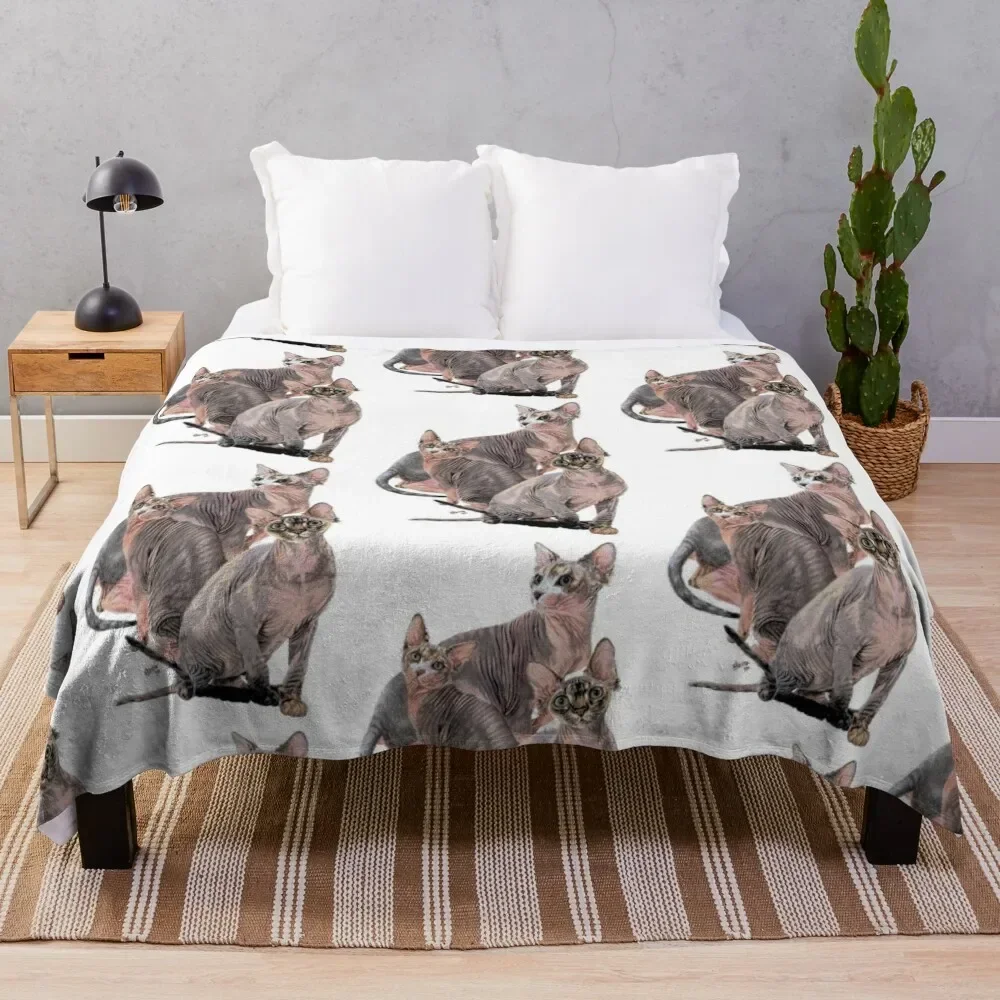 Sphynx Assortment Throw Blanket For Sofa Thin Summer Bed linens For Decorative Sofa Blankets