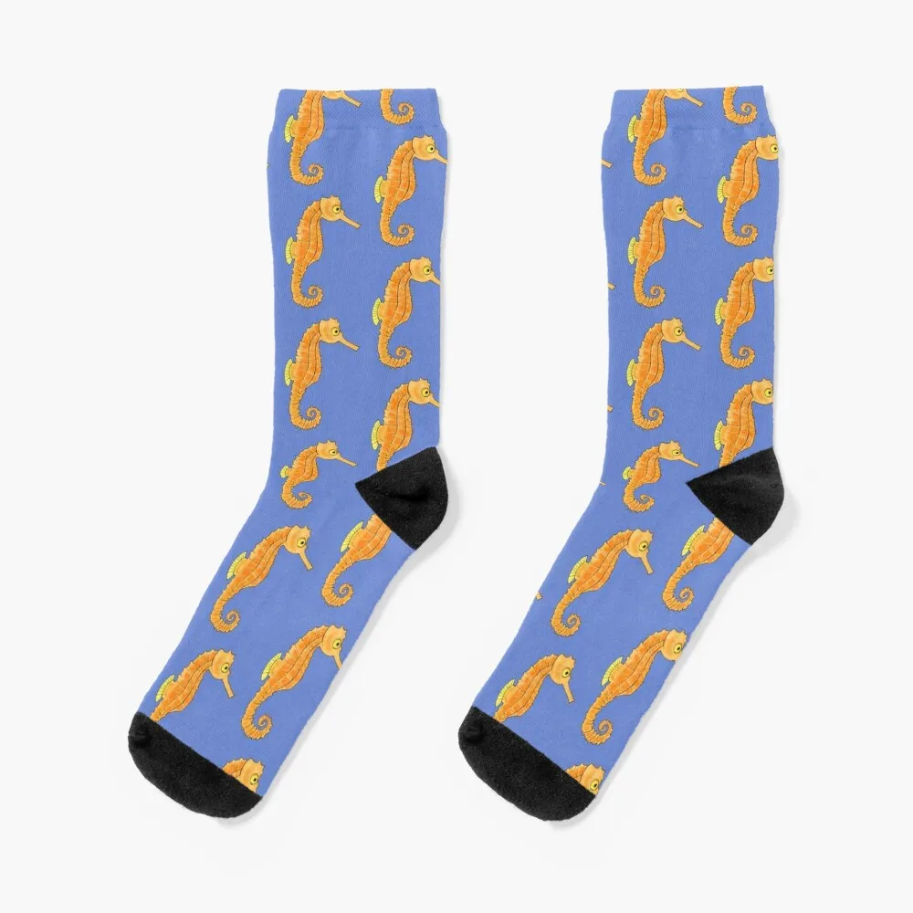 

Seahorse Socks sport funny gift Socks Female Men's