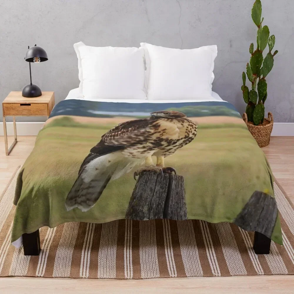 Red-Tailed Hawk Throw Blanket Thin blankets ands Blankets