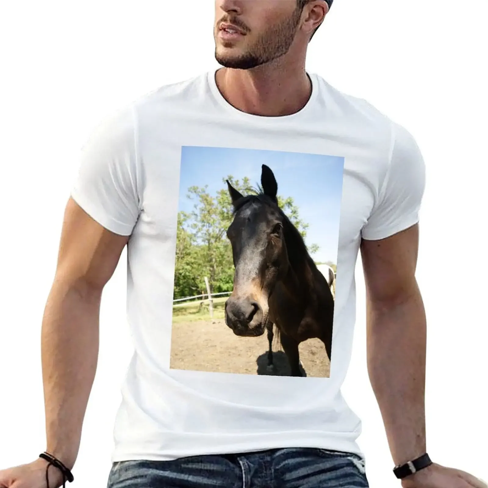 stallion man T-Shirt anime figures Aesthetic clothing vintage mens champion t shirts