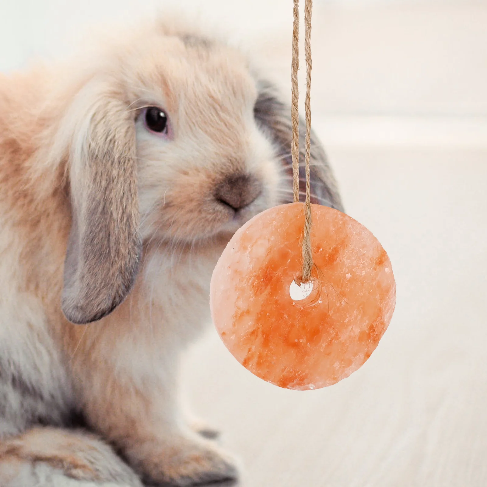 Brinquedos de cobaia para animais de estimação, bloco de sal, coelho, tijolo, lambedor de animais de hamster, blocos pendurados para