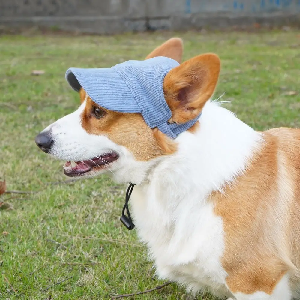INS Adjustable Dog Baseball Cap Soft Breathable Dog Parent-Child Hat with Ear Holes Pet Sun Hat Travel