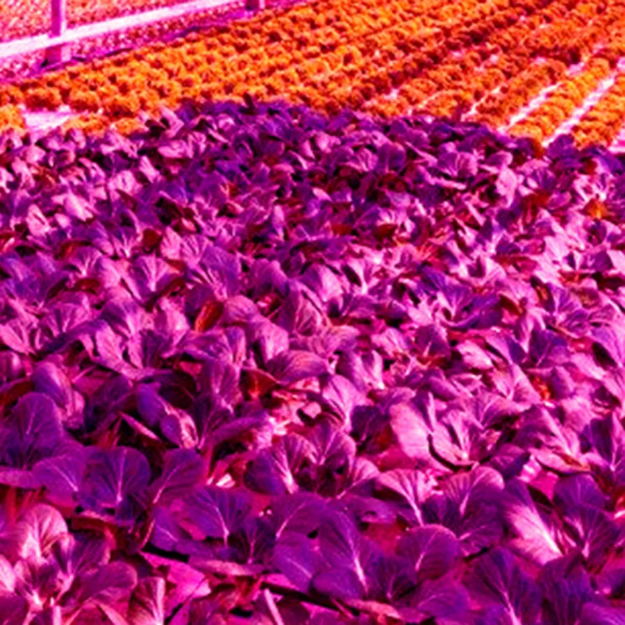 100cm USB Grow Light Strip for Hydroponic Plants