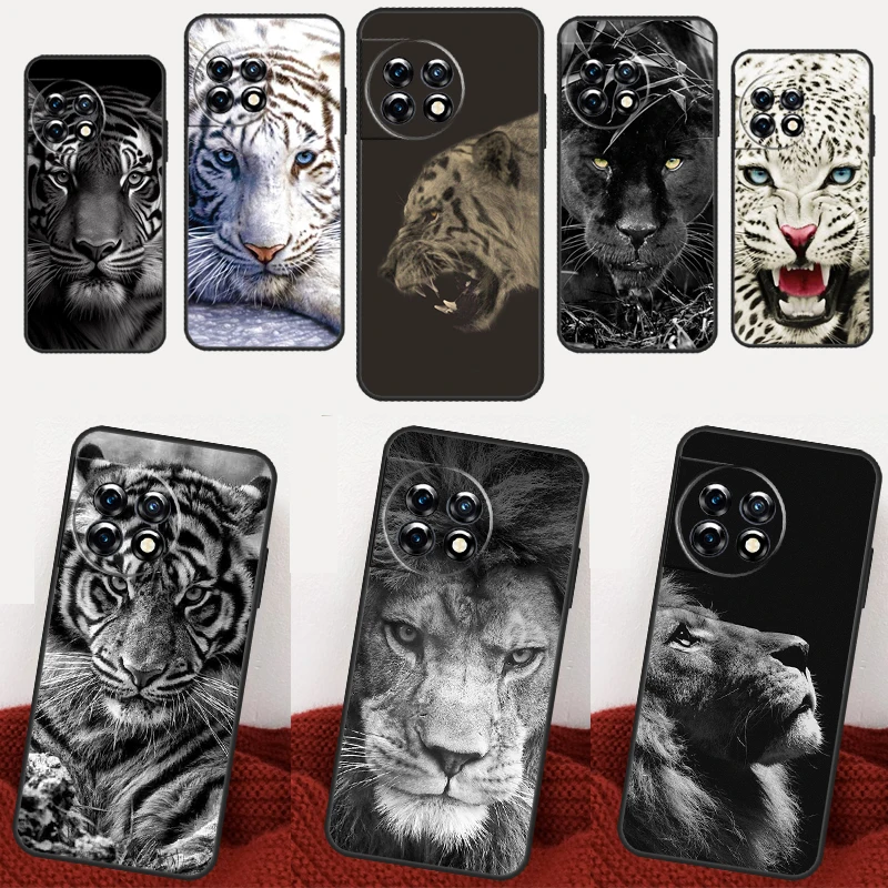 Animal Lion Tiger F… - image