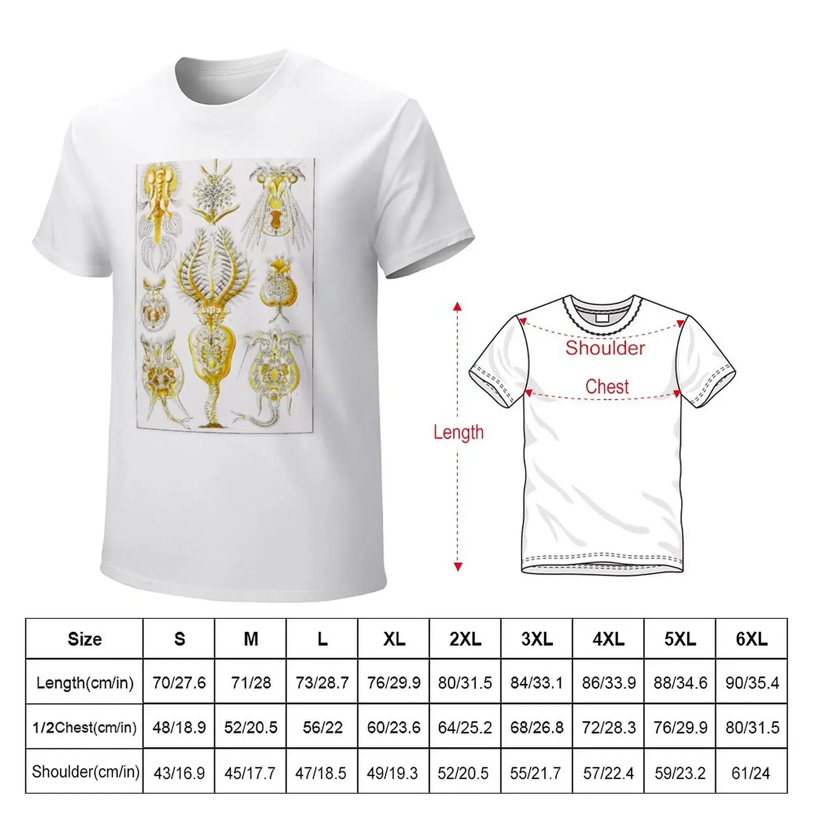 Plate 32. Rotifers or ‘wheel animals'. T-Shirt boys animal print customizeds blanks mens graphic t-shirts hip hop