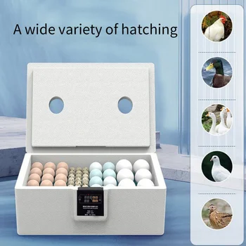 10 best sales अंडा इनक्यूबेटर पूरी तरह से स्वचालित - №3