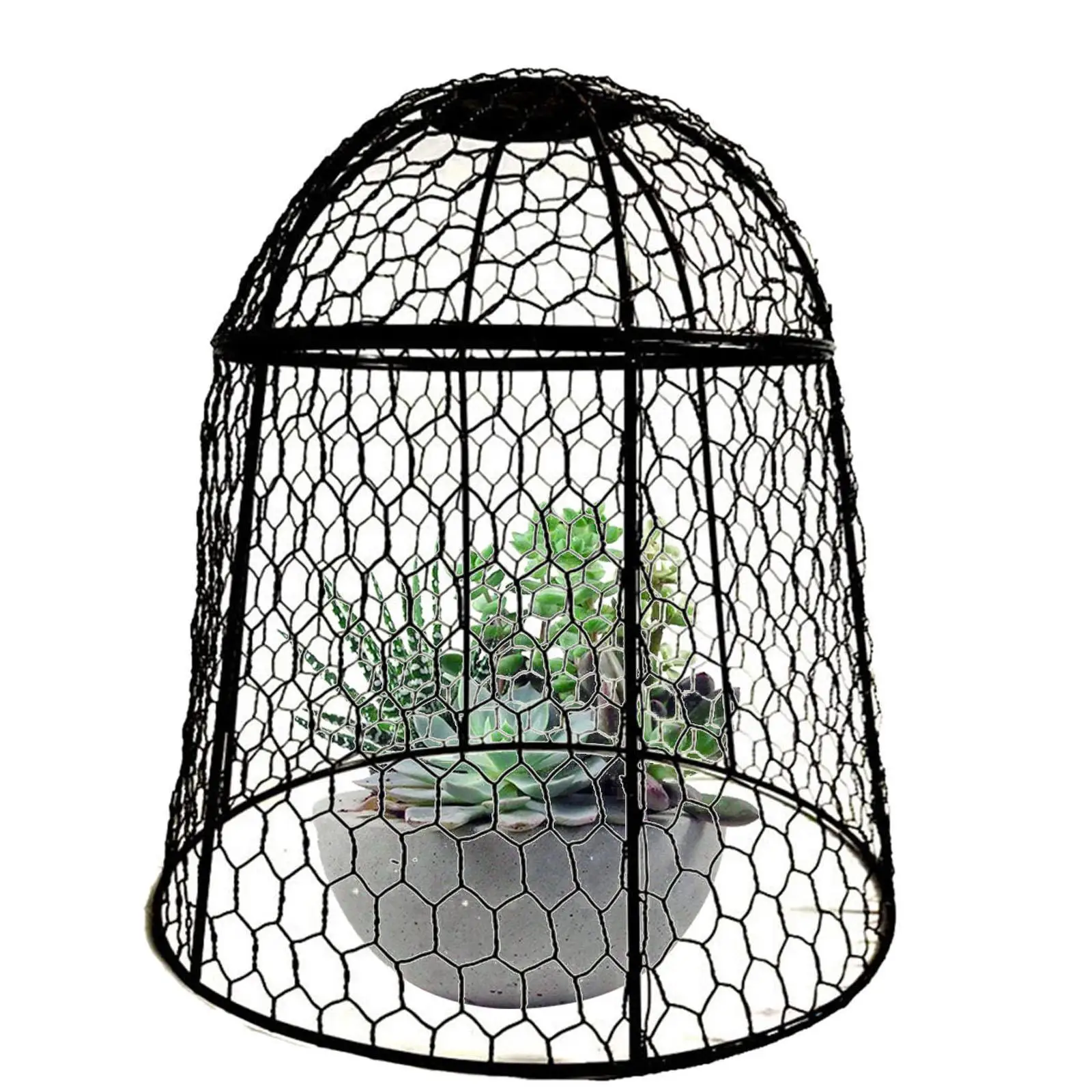 

Garden Cloche Garden Chicken Wire Cloche 11.8x11.8in Plant Dome Garden Protection Plants Protector for Fruits Indoor Plants