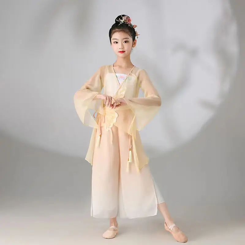Kid Girl Classical Dance Clothing Embroidered Gauze Top Bow Lace-up Gradient Split 2-Layer Chiffon Flowing Wide Leg Pants