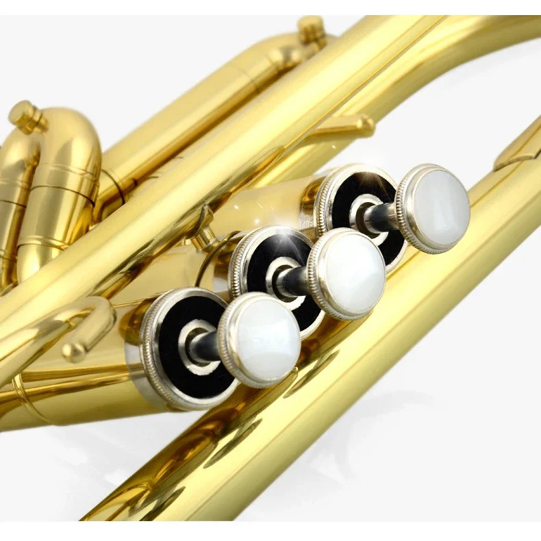 Performance Trumpet Flat B-Tone Beginner Band Musical Instruments Set Base Brass Instrument Gold Lacquer