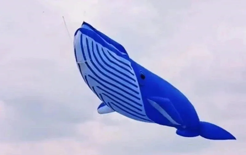 20m whale kite pendant giant kite flying shark kite nylon fabric professional kite factory weifang kites factory Breezemoon fun