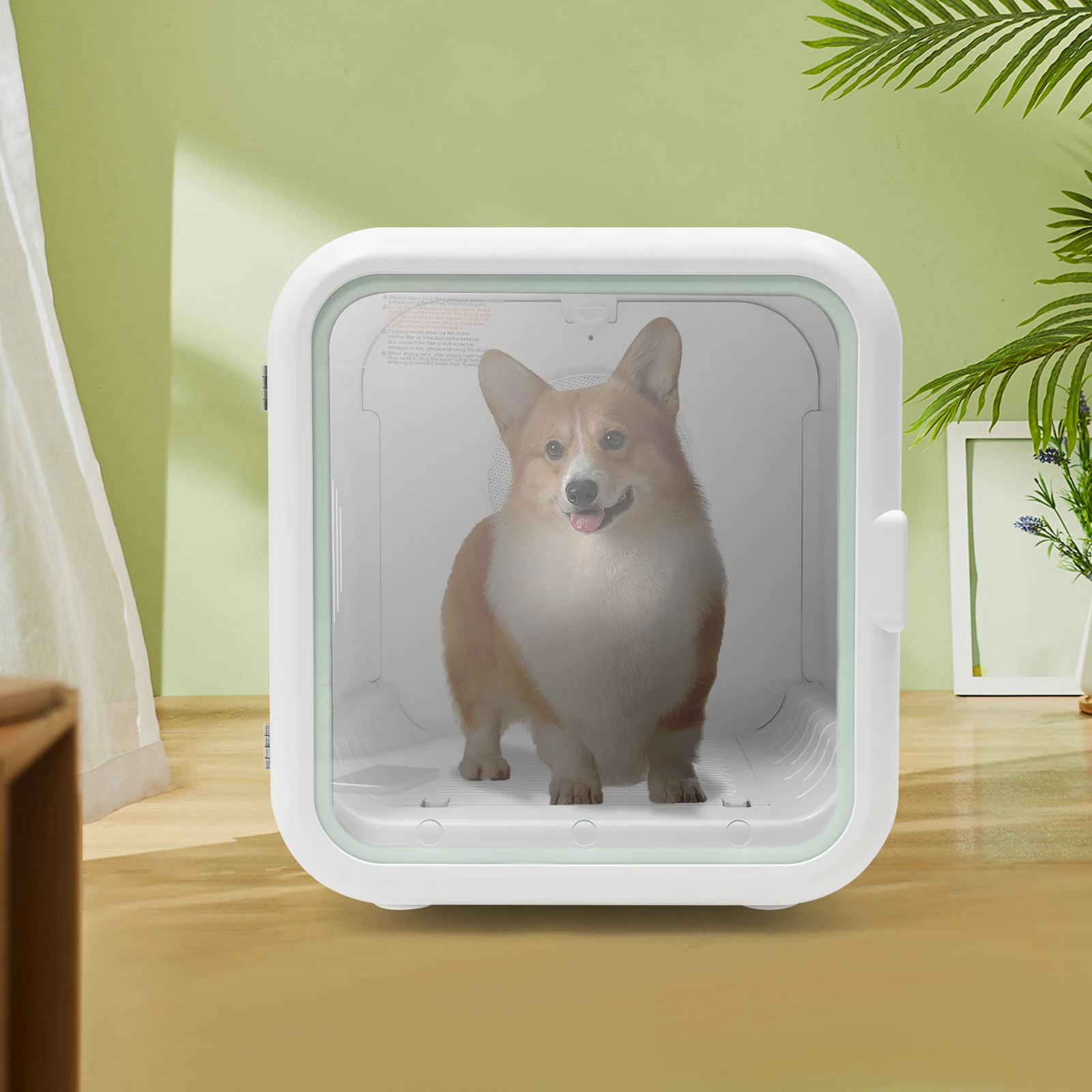 What is an English Short Hair Cat and How to Choose the Best Radio for Your Feline Friend?