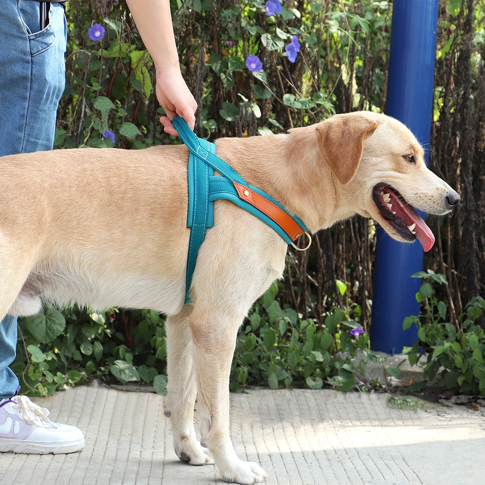 Arnés de nailon duradero para perro, chaleco acolchado suave sin tirones para perros pequeños, medianos y grandes, Bulldog Francés, Pug