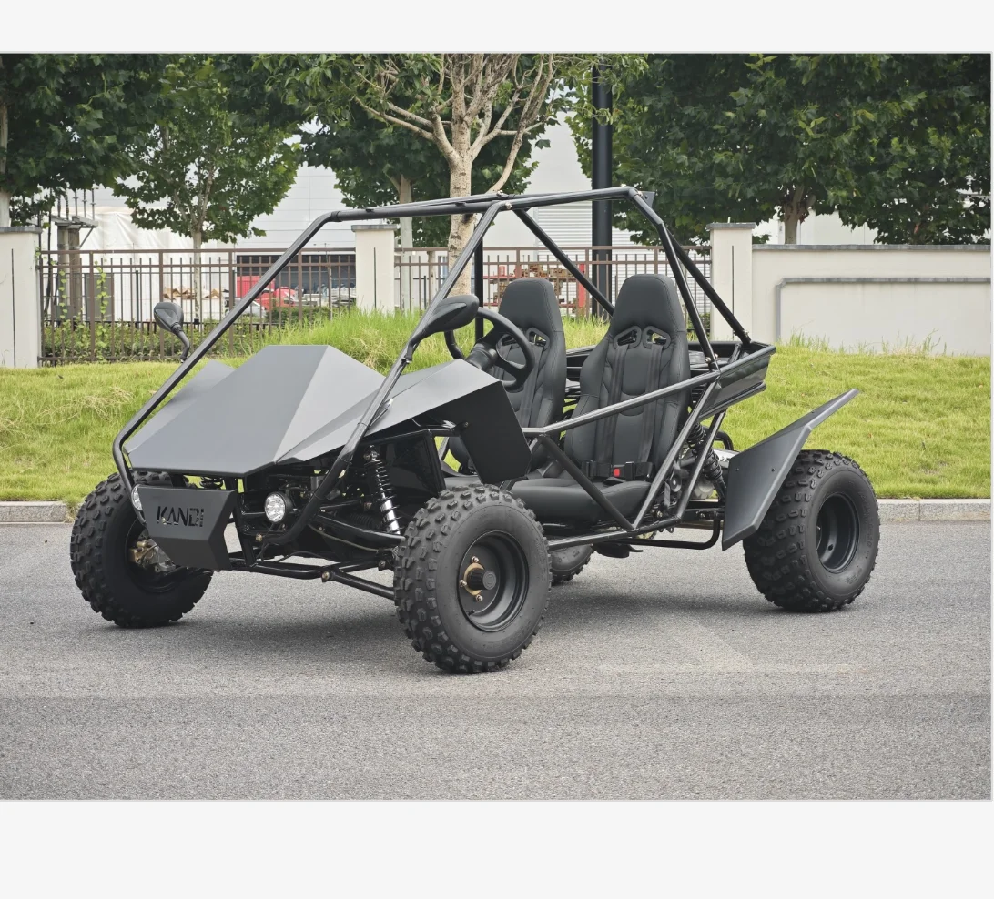 

200cc Go Kart with 15L Big Oil tank for Adults CVT Racing Go Kart Sand Buggy Oil Cooling Kandi off Road Pedal Go Kart