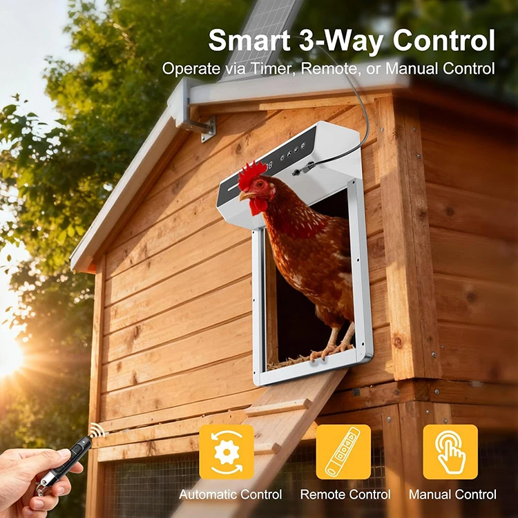 Solar metal automatic coop door anti-predator light sensor weatherproof backyard poultry farm