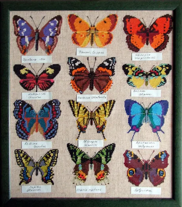 Chinese Cross Stitch Kit, Embroidery Needlework, Craft Packages, Floss Embroidery Magazine, Butterfly Specimens 51-54