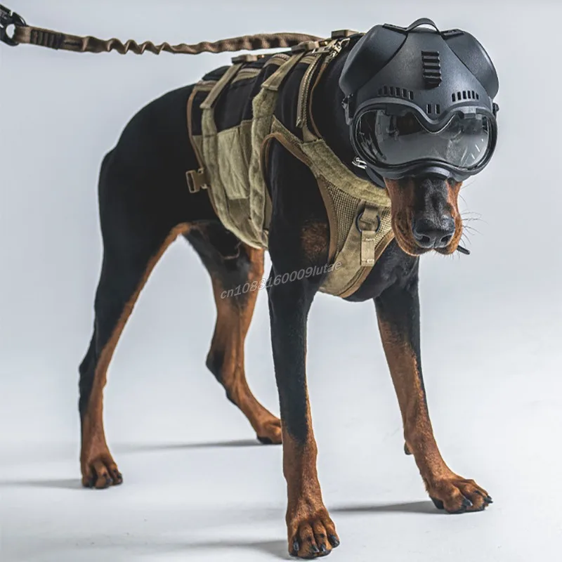 german shepherd motorcycle helmet Cover - Dog Helps Be Seen Dog in goggles and helmet