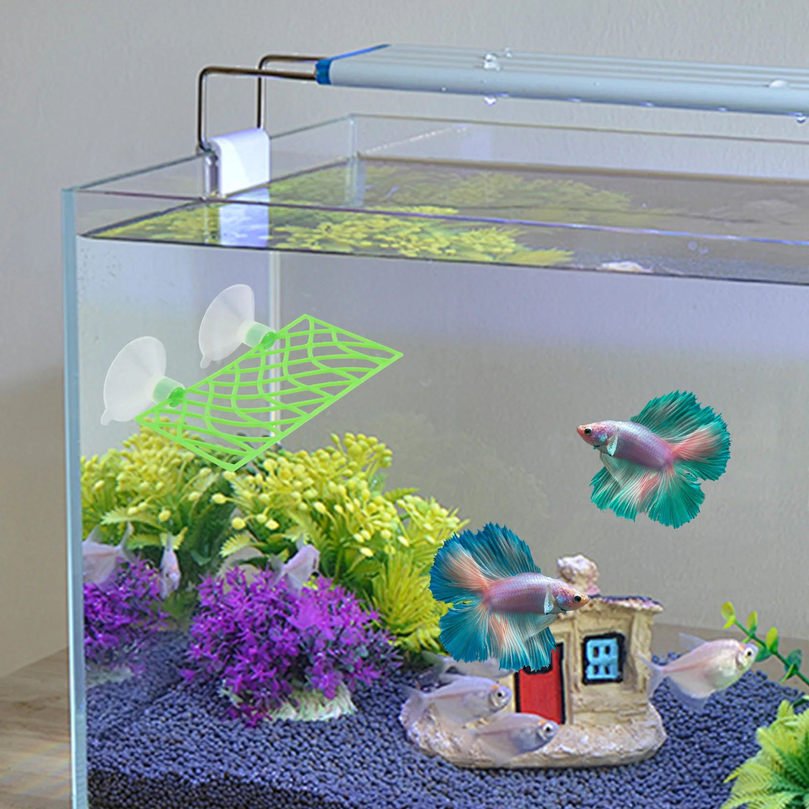 

1Set Fish Tank Cave Decoration Betta Tunnel Hollowed Bed Aquarium Ornament Resting Hideout Easy Clean ABS Material Fish Tank