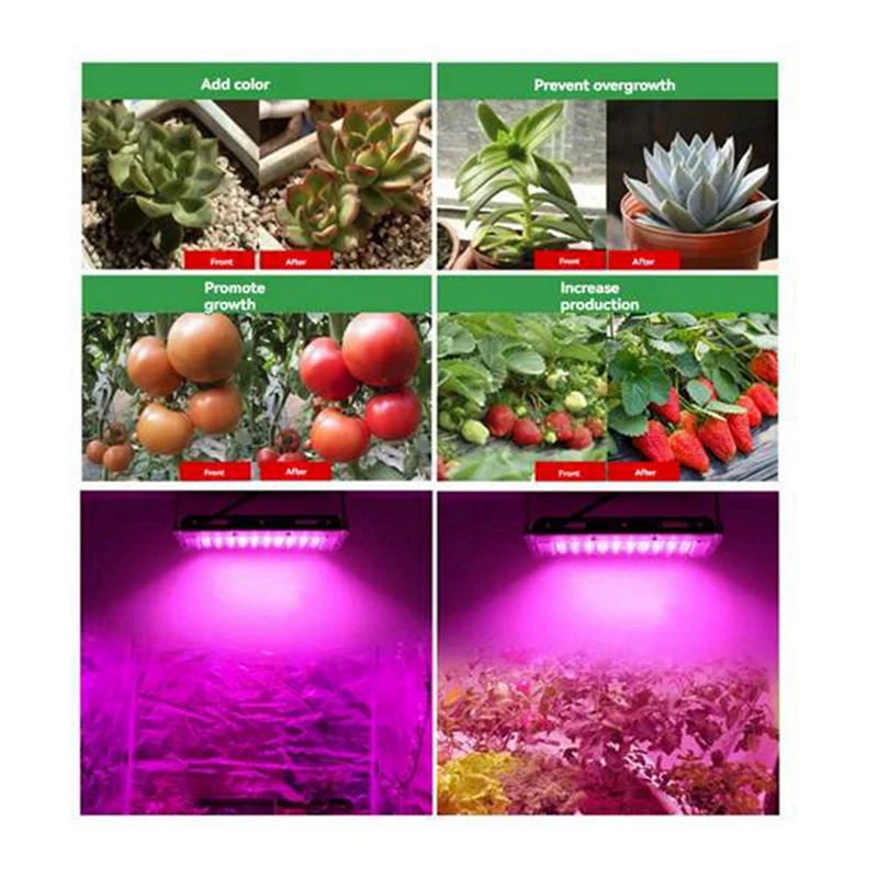 พืช LED เติบโตโคมไฟ 500W Full Spectrum Phyto โคมไฟเรือนกระจก Growth Lighting