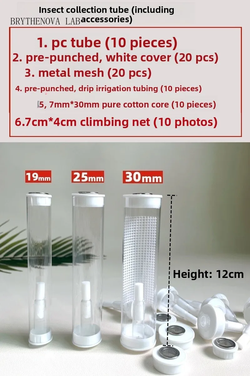 Insect Collection Tube, Ventilated Catch-and-Care Container, Critter Outdoor Carrier for Butterflies, Fireflies, Bamboo Crickets