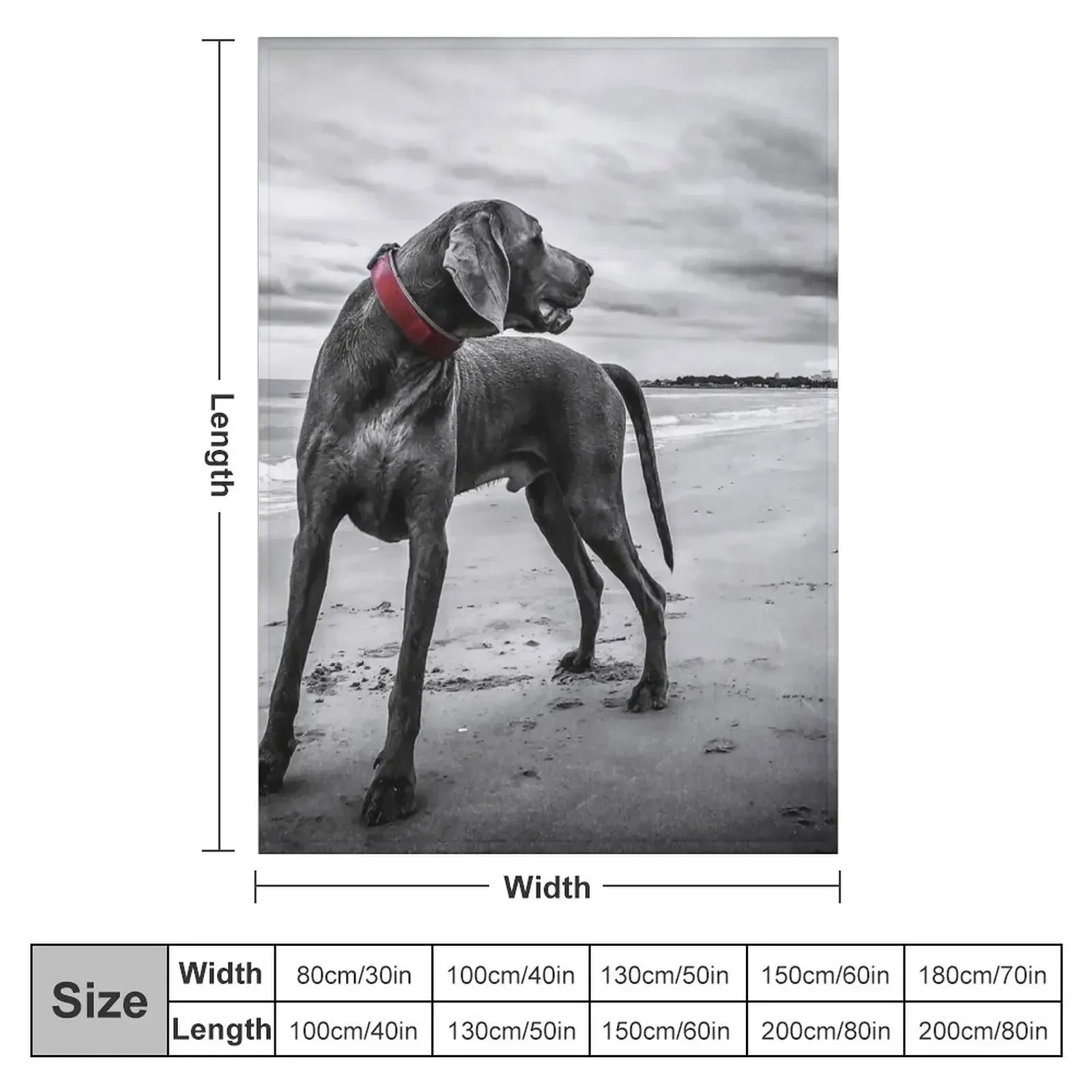 Weimaraner Throw Blanket couch cozy soft plush fuzzy picnic outdoor blanket