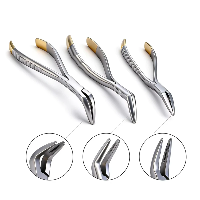 Dental Tooth Extraction Forcep Minimally Invasive Dentisit Instrument Maxillary Dental Curved Mandibular Instrument Tool