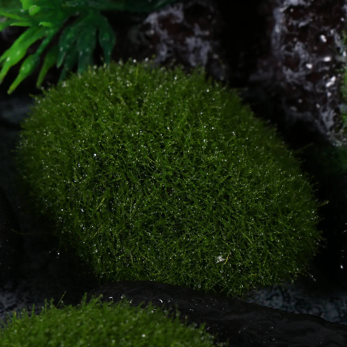 

20pcs Stone For Terrarium Terrarium Moss Ball Decoration Aquarium Decor Diy Moss Ball Craft Home Office Party Decoration