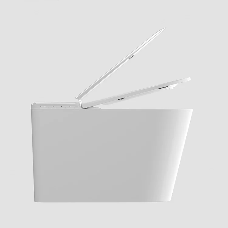 

White Back To Wall Toilet Bidet Para Inodoro Sanitary Ware Ceramic Toilet