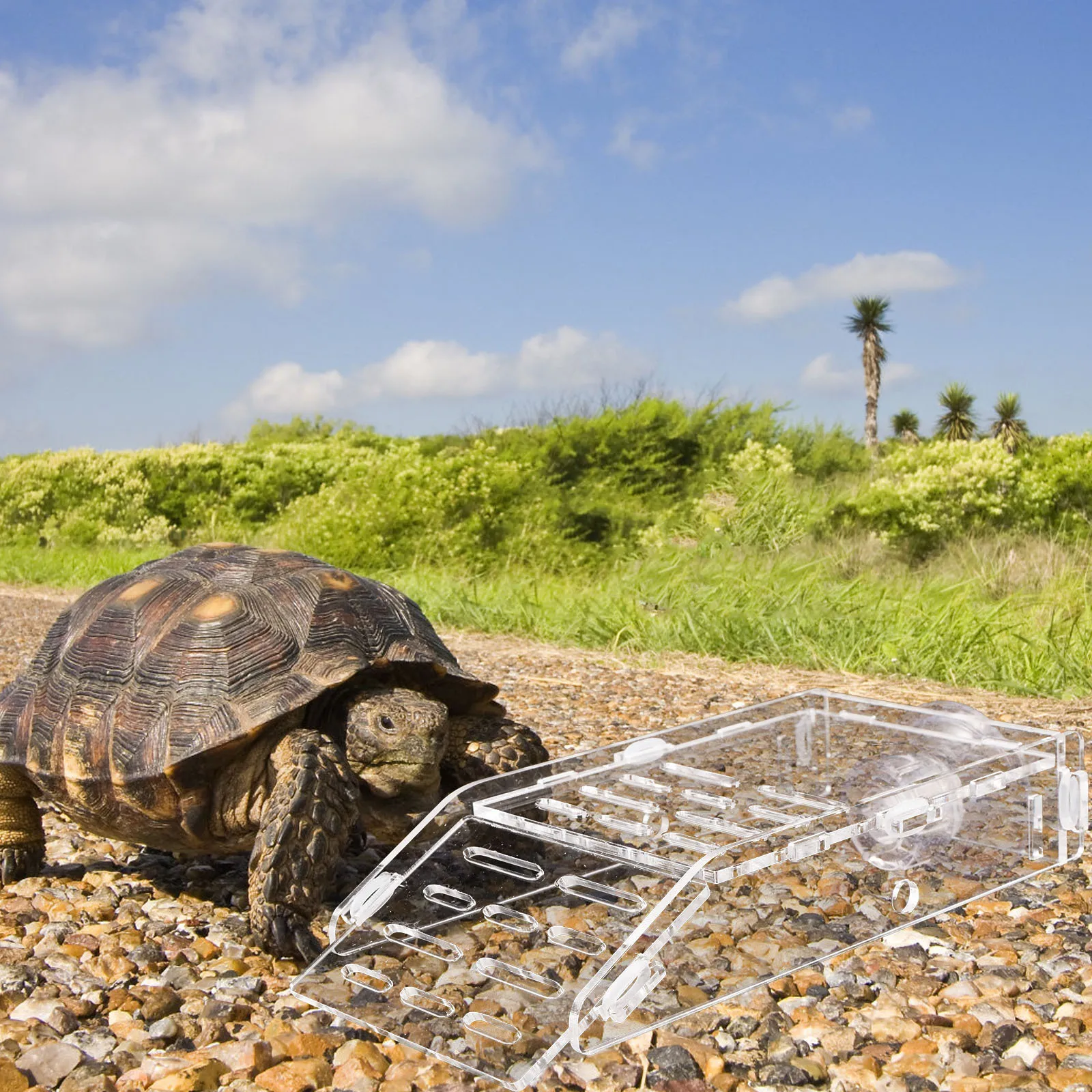 

Turtle Basking Platform Plastic Terrace Suction Cup Aquarium Resting Climbing Floating Island Turtle Tank Decor