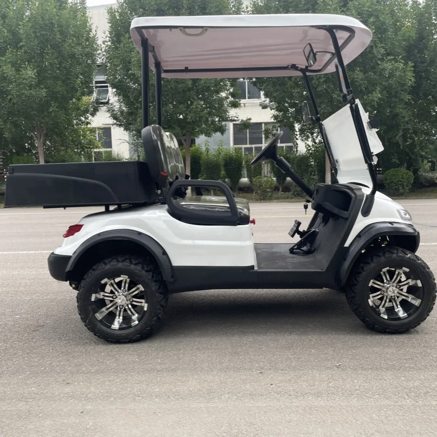 CE Approved 2/4/6/8 Seater Export Electric Golf Cart Golf Course Club Beach Resort 2025 Electric Sightseeing Golf Cart