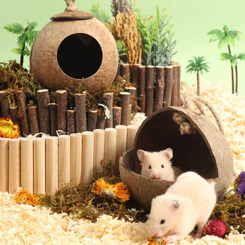 Thumbnail 3 - #19 Latest Hamster Houses Offers