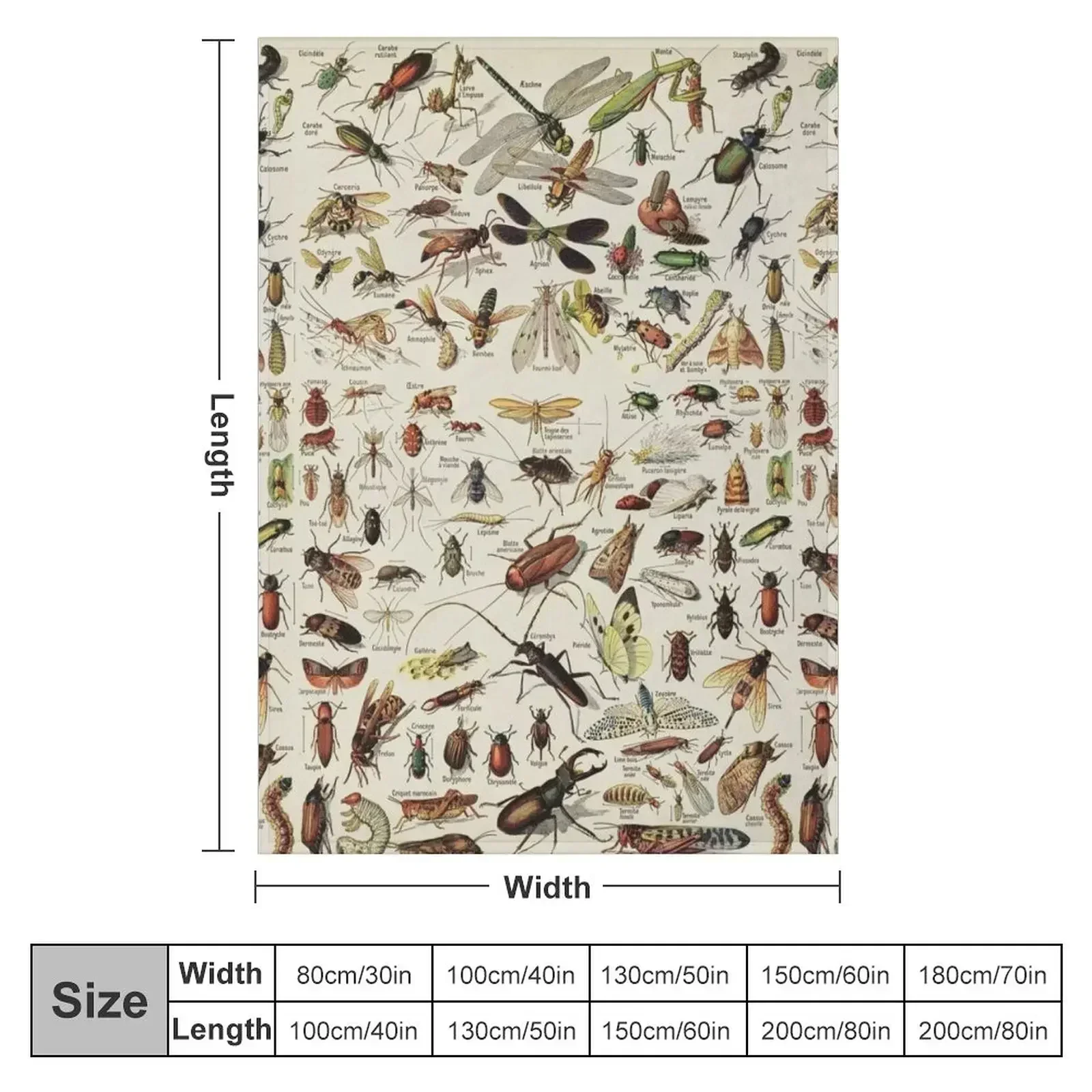 Insects Chart. Scientific Illustration, text in french Throw Blanket couch cozy soft plush fuzzy picnic outdoor blanket