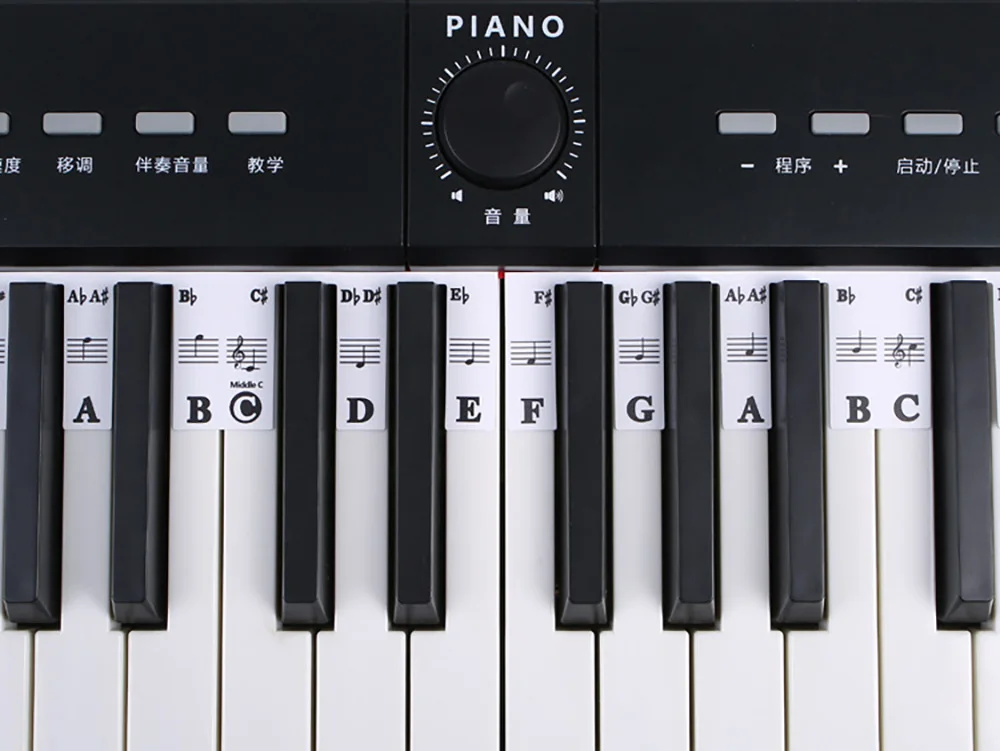 Aufkleber für Klaviertastatur, 88/61 Tasten, abnehmbare Etiketten für Musiknoten für Anfänger, PVC-Klaviertastenetiketten, Leitfaden für Klaviernoten aus Silikon – Detail 11