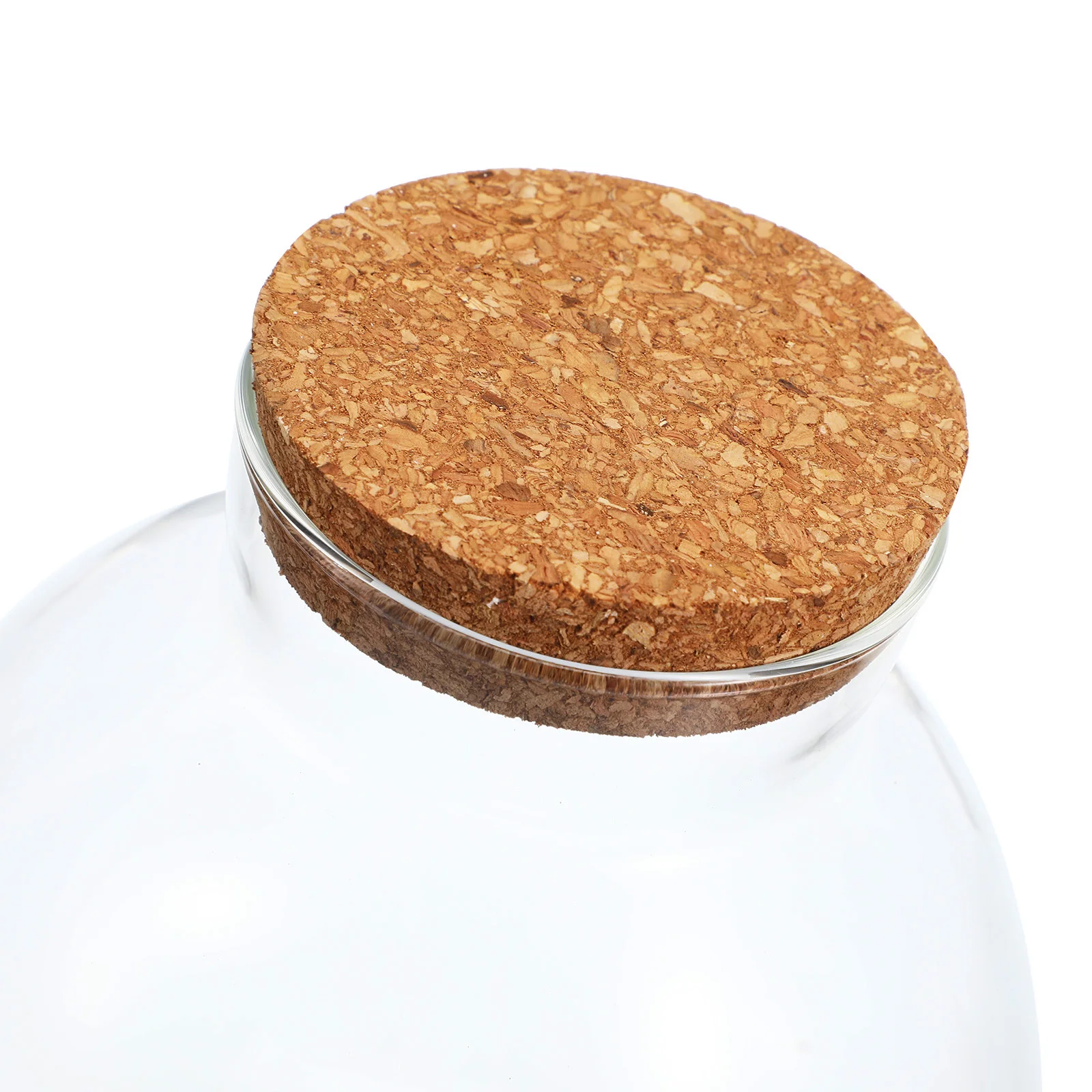 

2Pcs Desktop Micro-Landscape Bottle Glass Moss Plant Container for DIY Succulent Plant Bottle Decorative Ecological Jar Modern