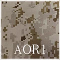 AOR1