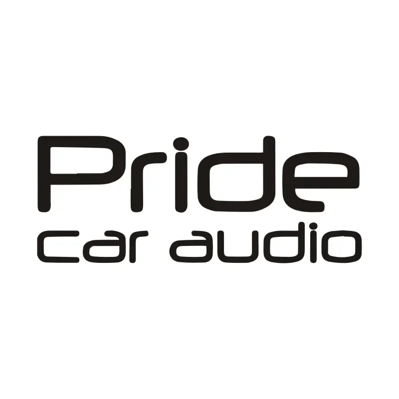 Car Sticker 3D Stikcer Pride Car Audio Decal  Car Styling Waterproof Reflective Custom Sticker 24.5cm*9.6cm