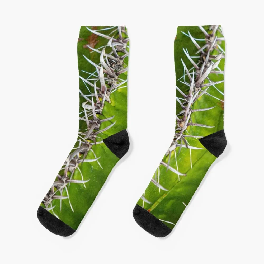 Evil looking cacti spines Socks Soccer golf Men Socks Luxury Brand Women's