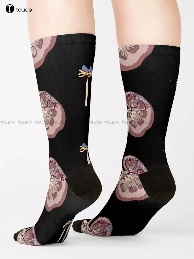 Kidney Anatomy Socks Personalized Custom Unisex Adult Teen Youth Socks 360° Digital Print Custom Gift Streetwear