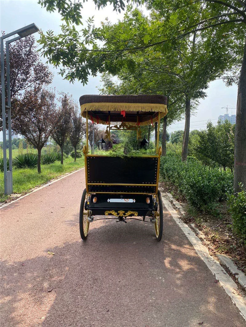 Wysokiej jakości pedał elektryczny Pedicab riksza trzy koła holenderski rower towarowy brak elektrycznego Bakfiet kurierski towary trójkołowe