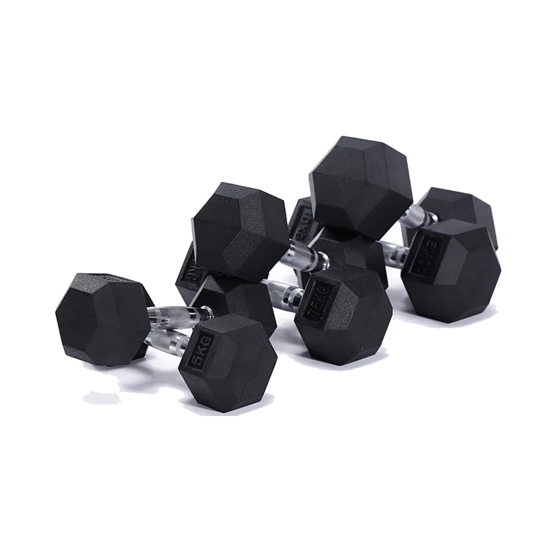 Wholesale New Popular  Gym Fitness  Functional Training Equipment   Dumbell Dumbbelles Dumbbell 5kg