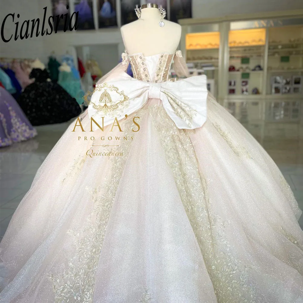 Champagne Quinceanera Dresses Ball Gown Birthday Party Dress Lace Up Graduation Gown Sweetheart Swet 16 vestidos de quinceañera