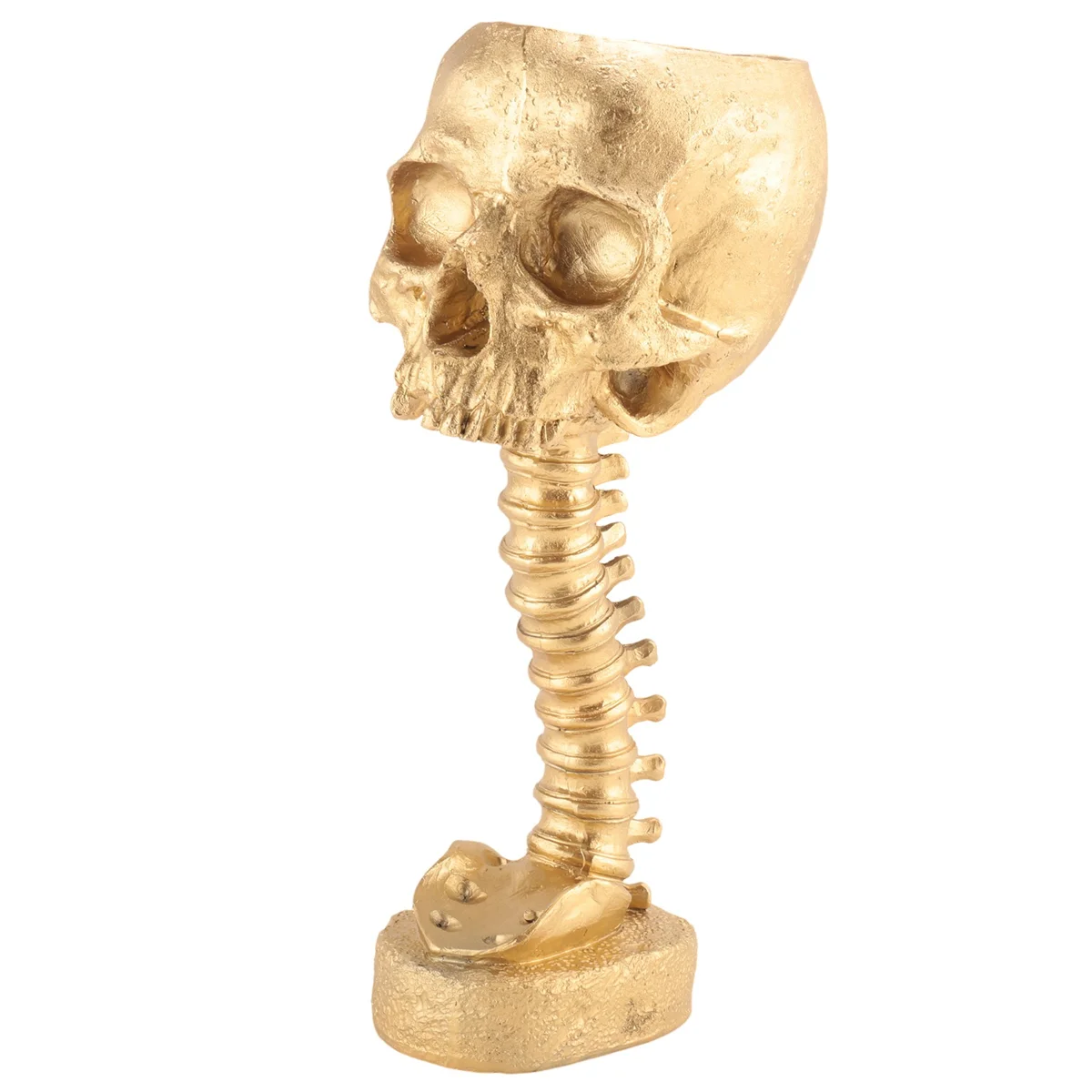 Resina Crânio plantador e Spine Stand Set, Polyresin Skulls Pot, Decoração de Halloween, Flor humana retro, Dourado