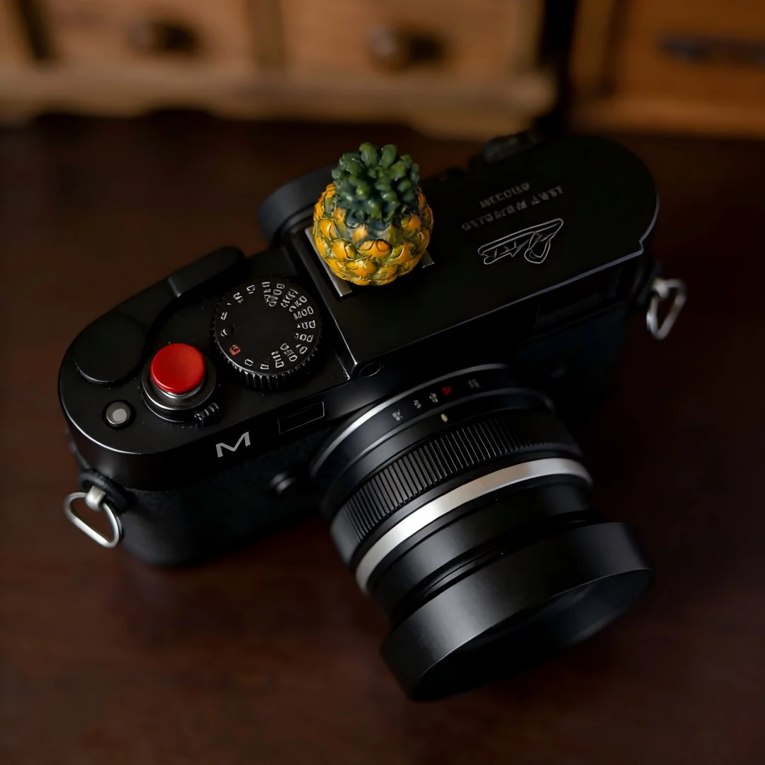 Protector Universal para la Cu - Lens Cap Vintage reseña y precio