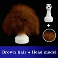 Brown Hair Model