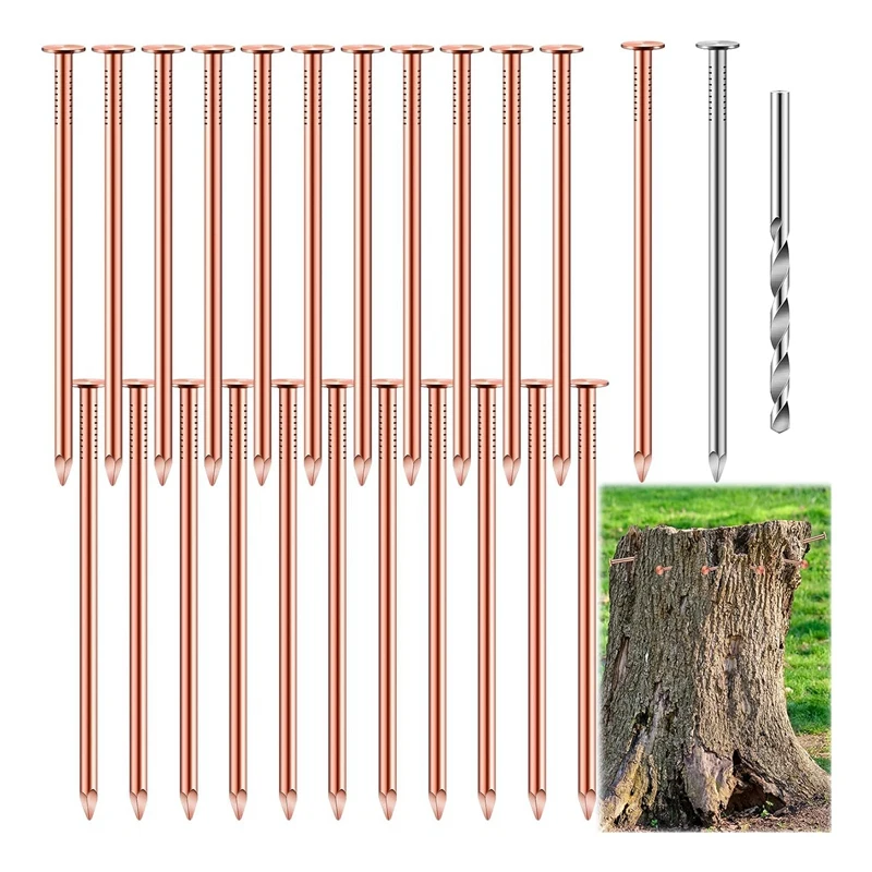 

Copper Nails To Killing Trees Stump Removal Spikes Hardware Nails For Trees 25Piece